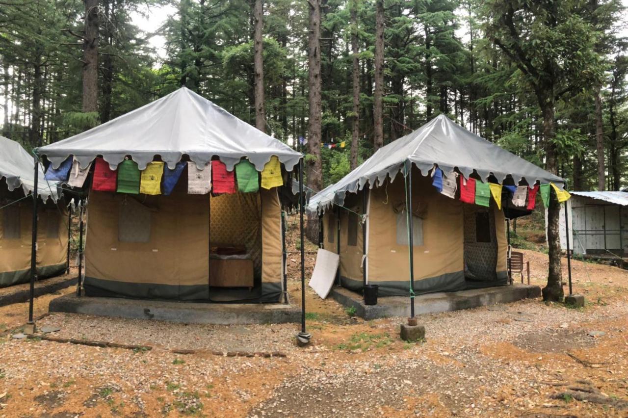Himtrek Stays,Mcleodganj McLeod Ganj Buitenkant foto