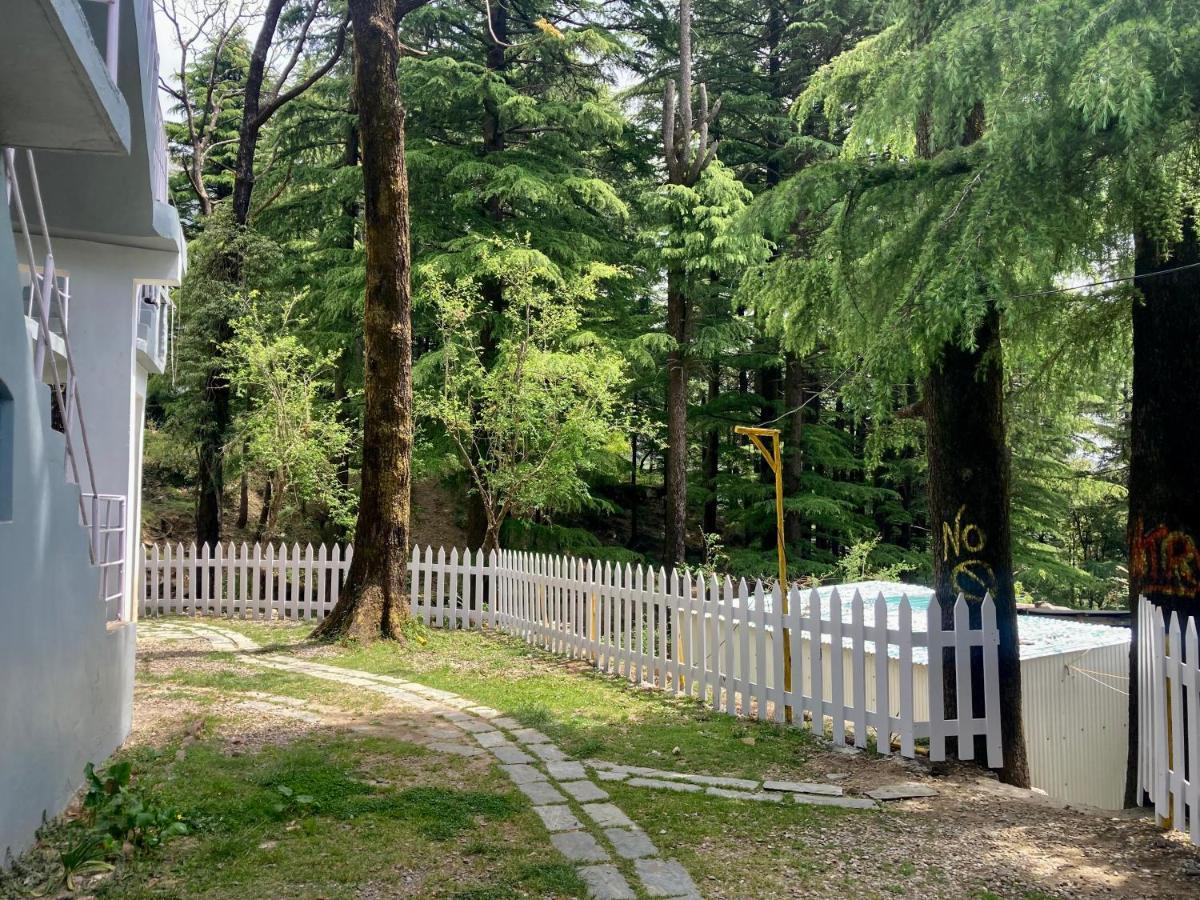 Himtrek Stays,Mcleodganj McLeod Ganj Buitenkant foto