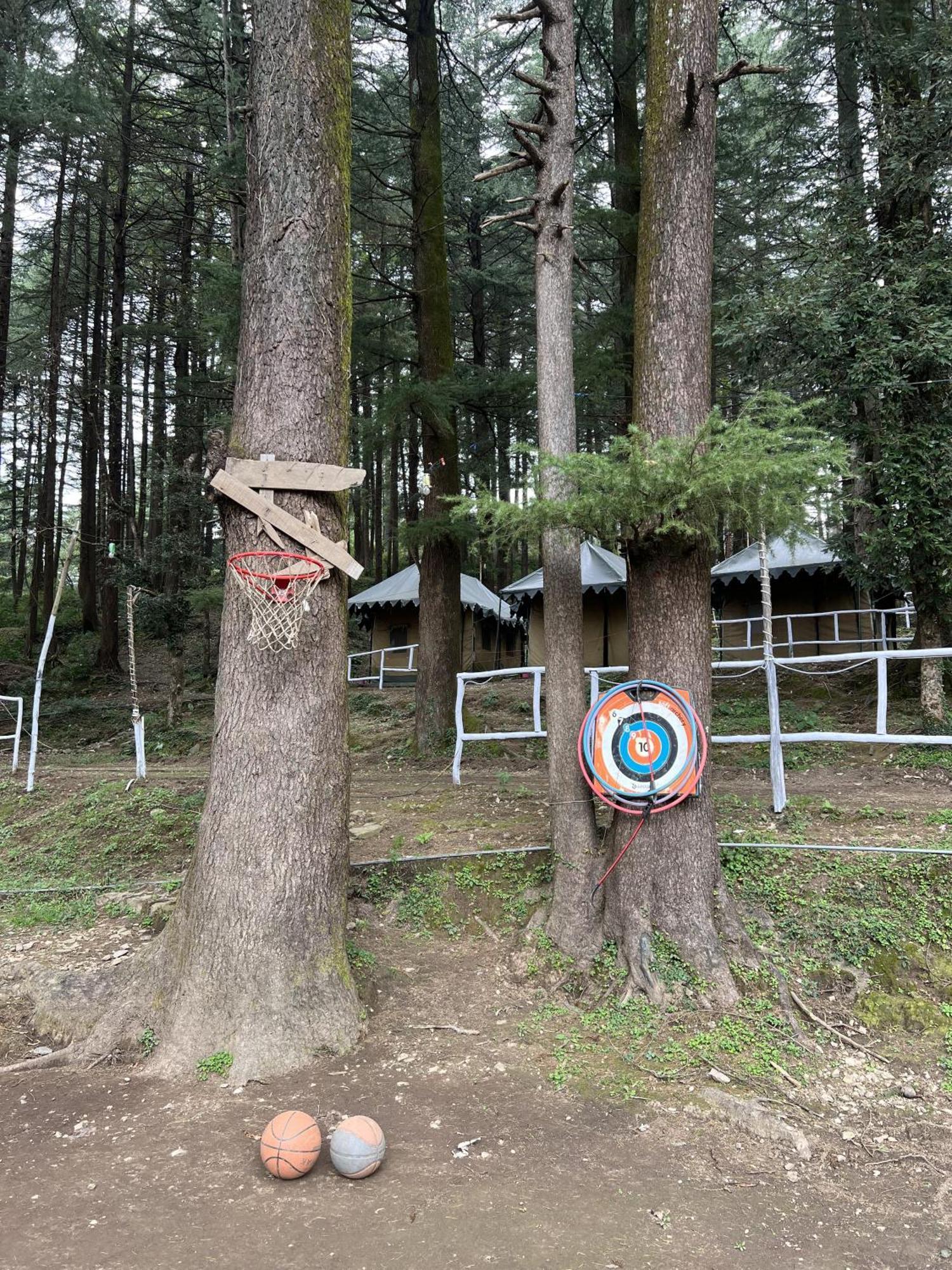 Himtrek Stays,Mcleodganj McLeod Ganj Buitenkant foto