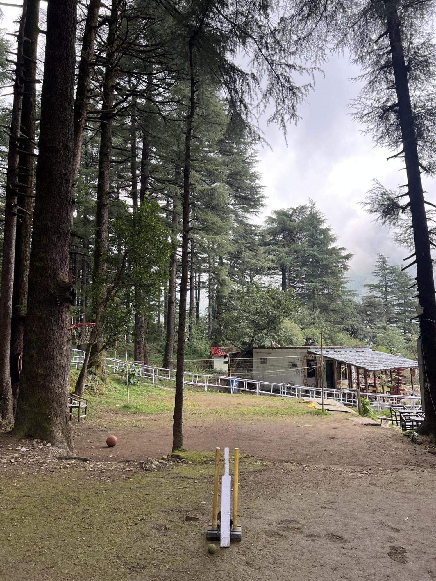Himtrek Stays,Mcleodganj McLeod Ganj Buitenkant foto