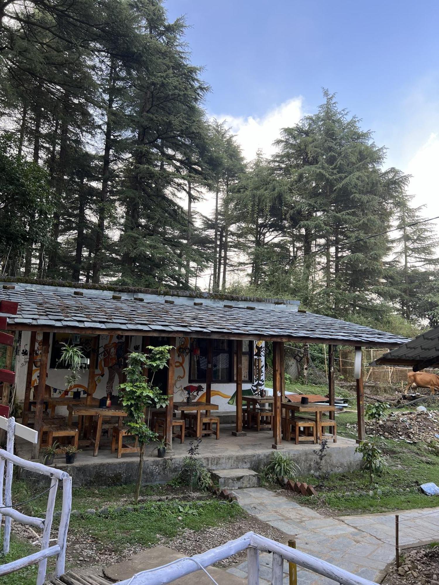 Himtrek Stays,Mcleodganj McLeod Ganj Buitenkant foto