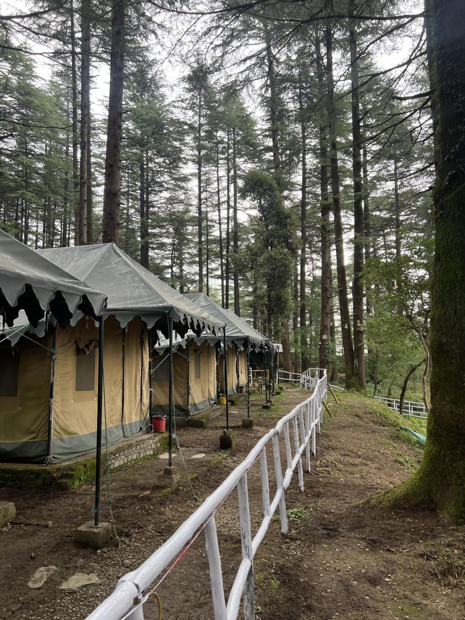 Himtrek Stays,Mcleodganj McLeod Ganj Buitenkant foto