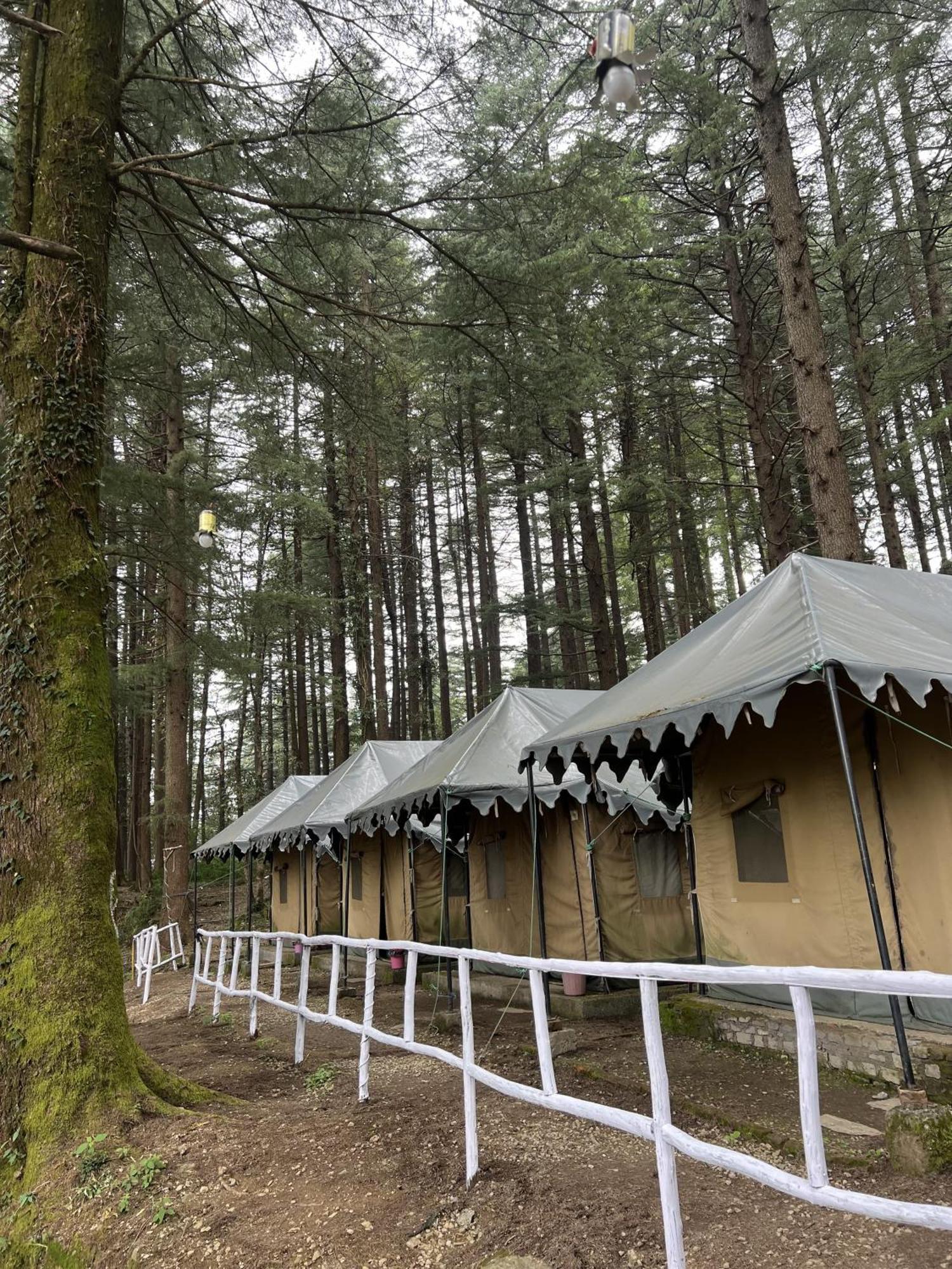 Himtrek Stays,Mcleodganj McLeod Ganj Buitenkant foto