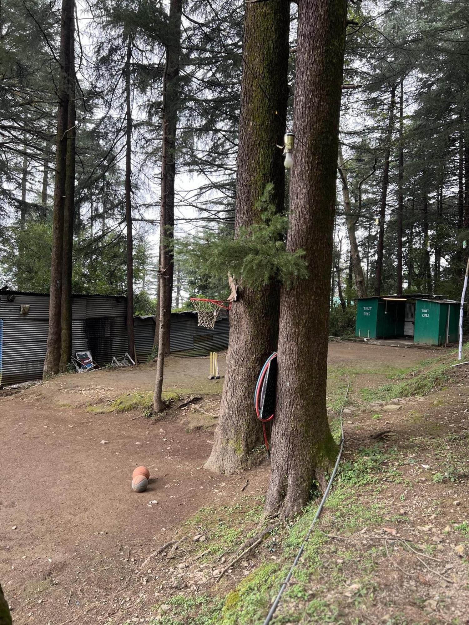 Himtrek Stays,Mcleodganj McLeod Ganj Buitenkant foto
