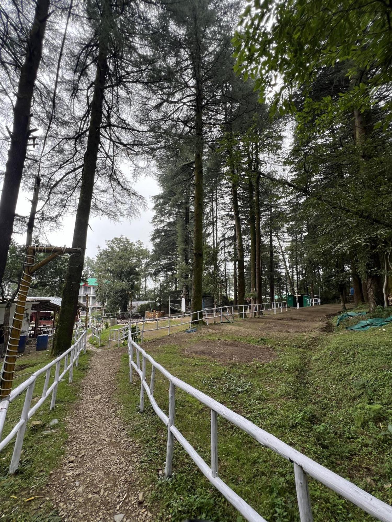 Himtrek Stays,Mcleodganj McLeod Ganj Buitenkant foto
