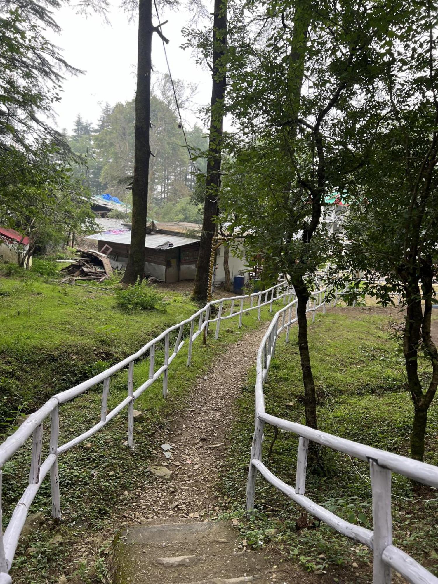 Himtrek Stays,Mcleodganj McLeod Ganj Buitenkant foto