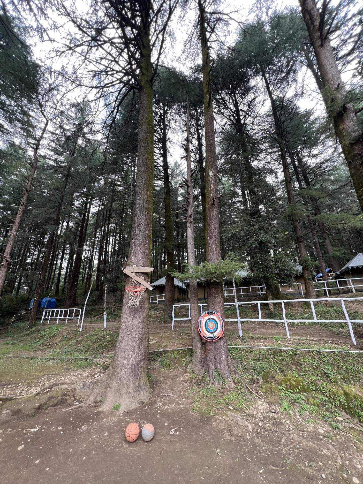 Himtrek Stays,Mcleodganj McLeod Ganj Buitenkant foto