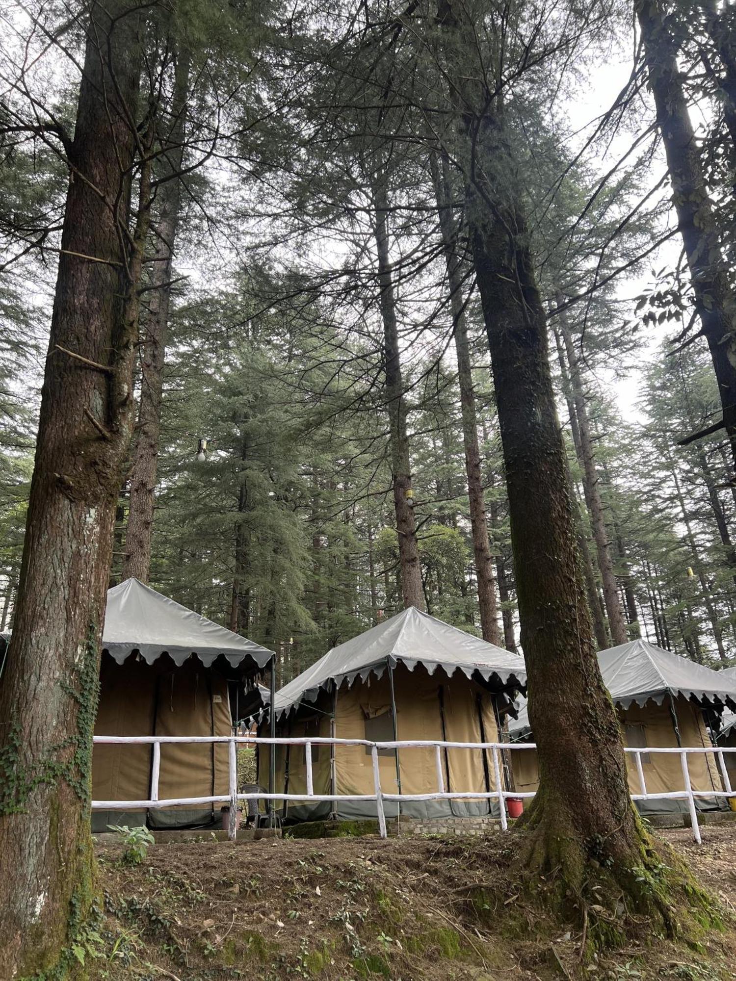 Himtrek Stays,Mcleodganj McLeod Ganj Buitenkant foto