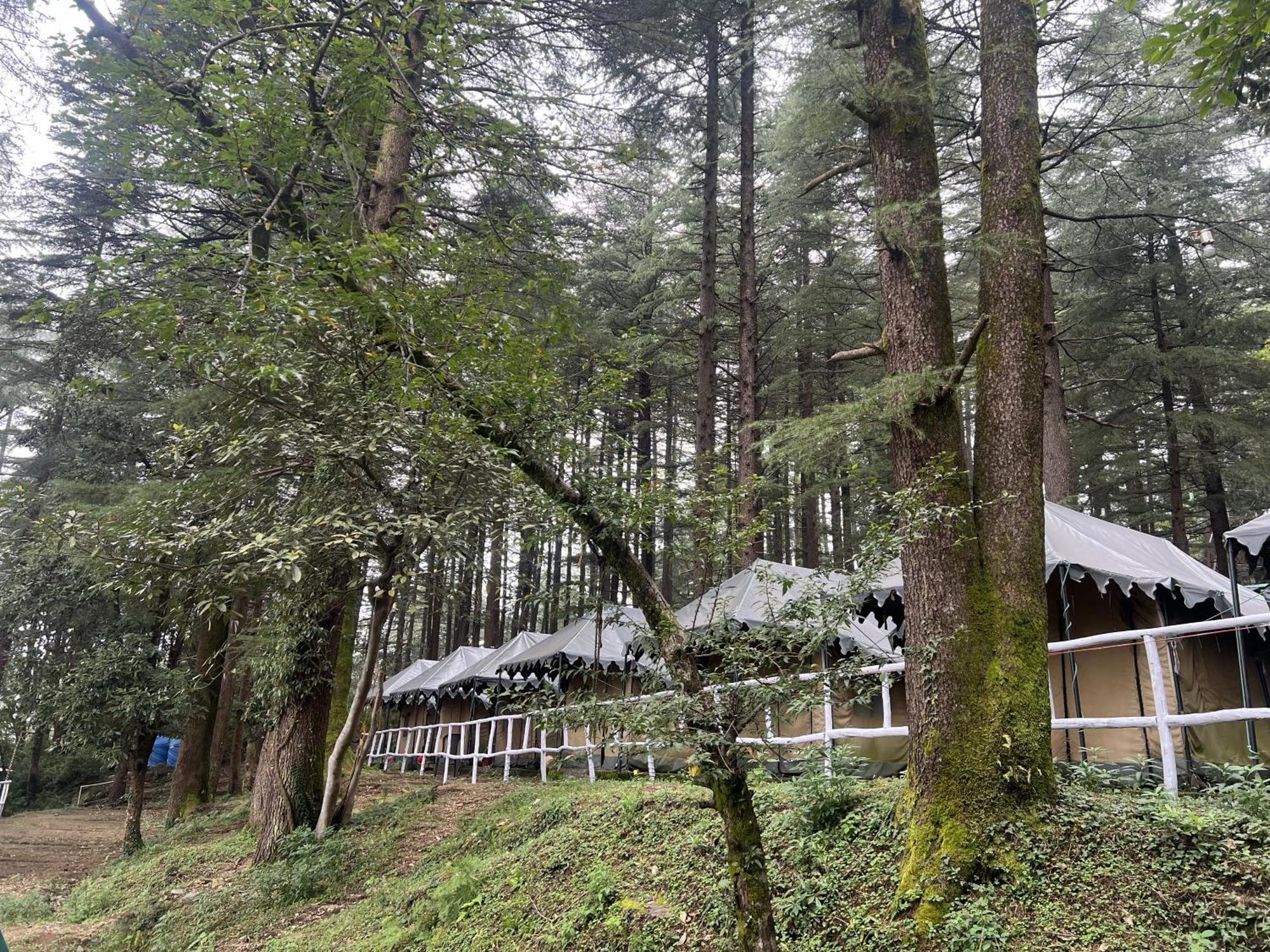 Himtrek Stays,Mcleodganj McLeod Ganj Buitenkant foto