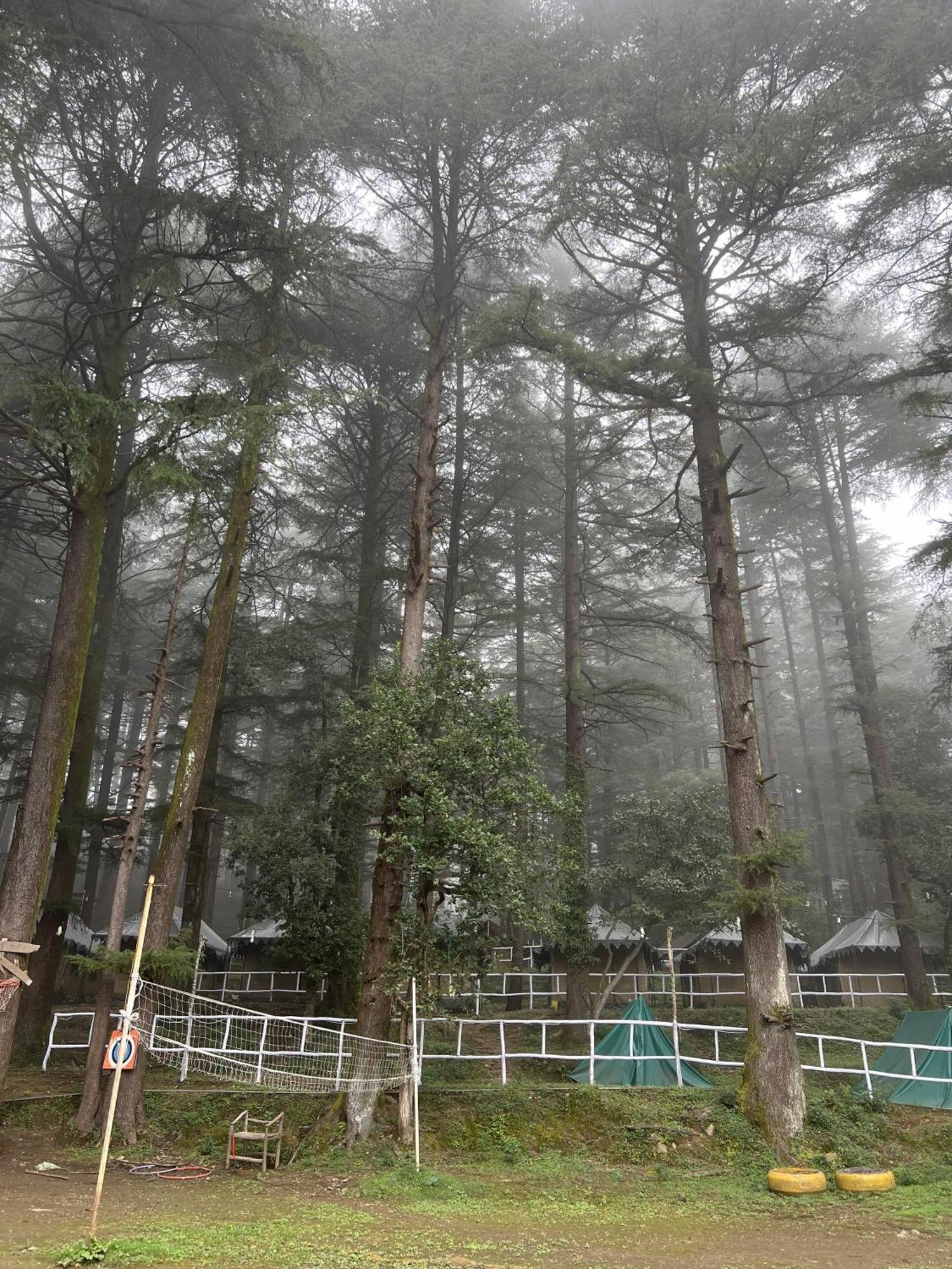 Himtrek Stays,Mcleodganj McLeod Ganj Buitenkant foto