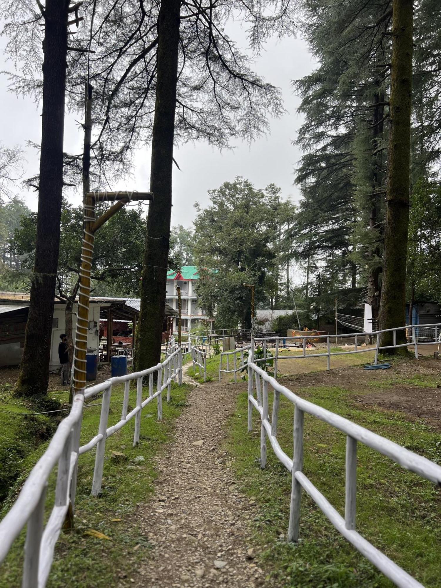 Himtrek Stays,Mcleodganj McLeod Ganj Buitenkant foto