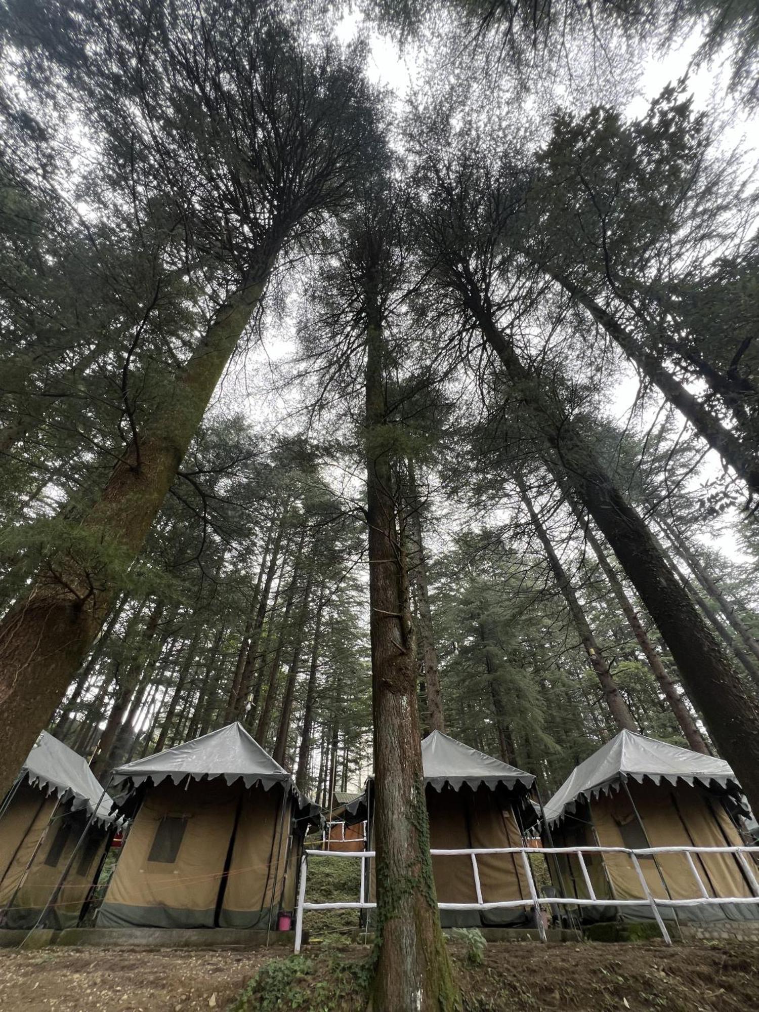 Himtrek Stays,Mcleodganj McLeod Ganj Buitenkant foto