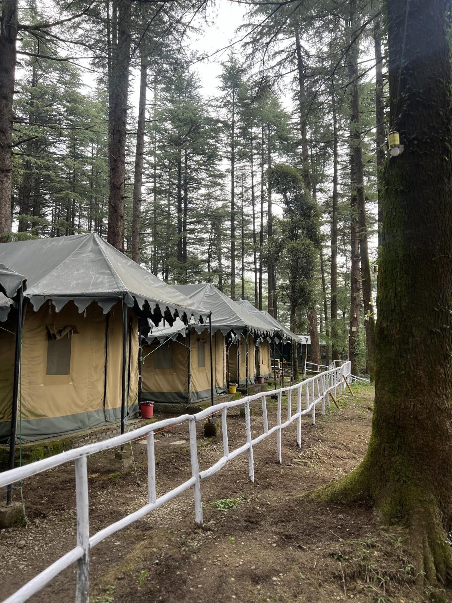 Himtrek Stays,Mcleodganj McLeod Ganj Buitenkant foto