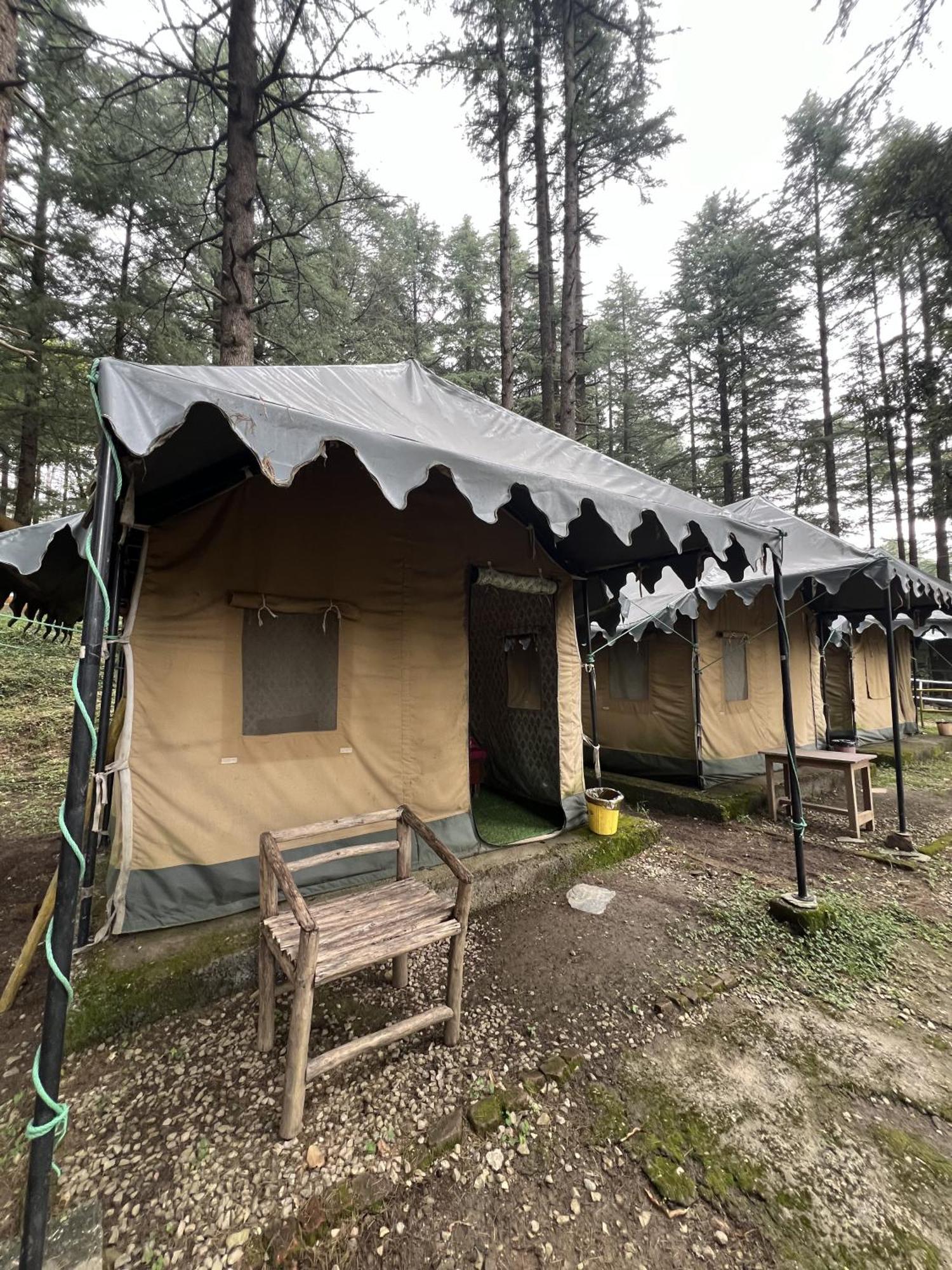 Himtrek Stays,Mcleodganj McLeod Ganj Buitenkant foto