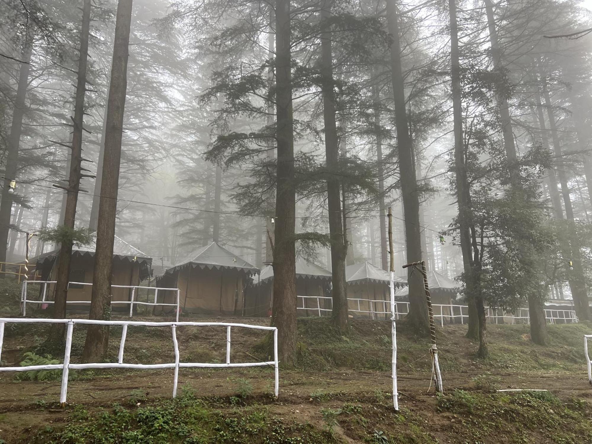 Himtrek Stays,Mcleodganj McLeod Ganj Buitenkant foto