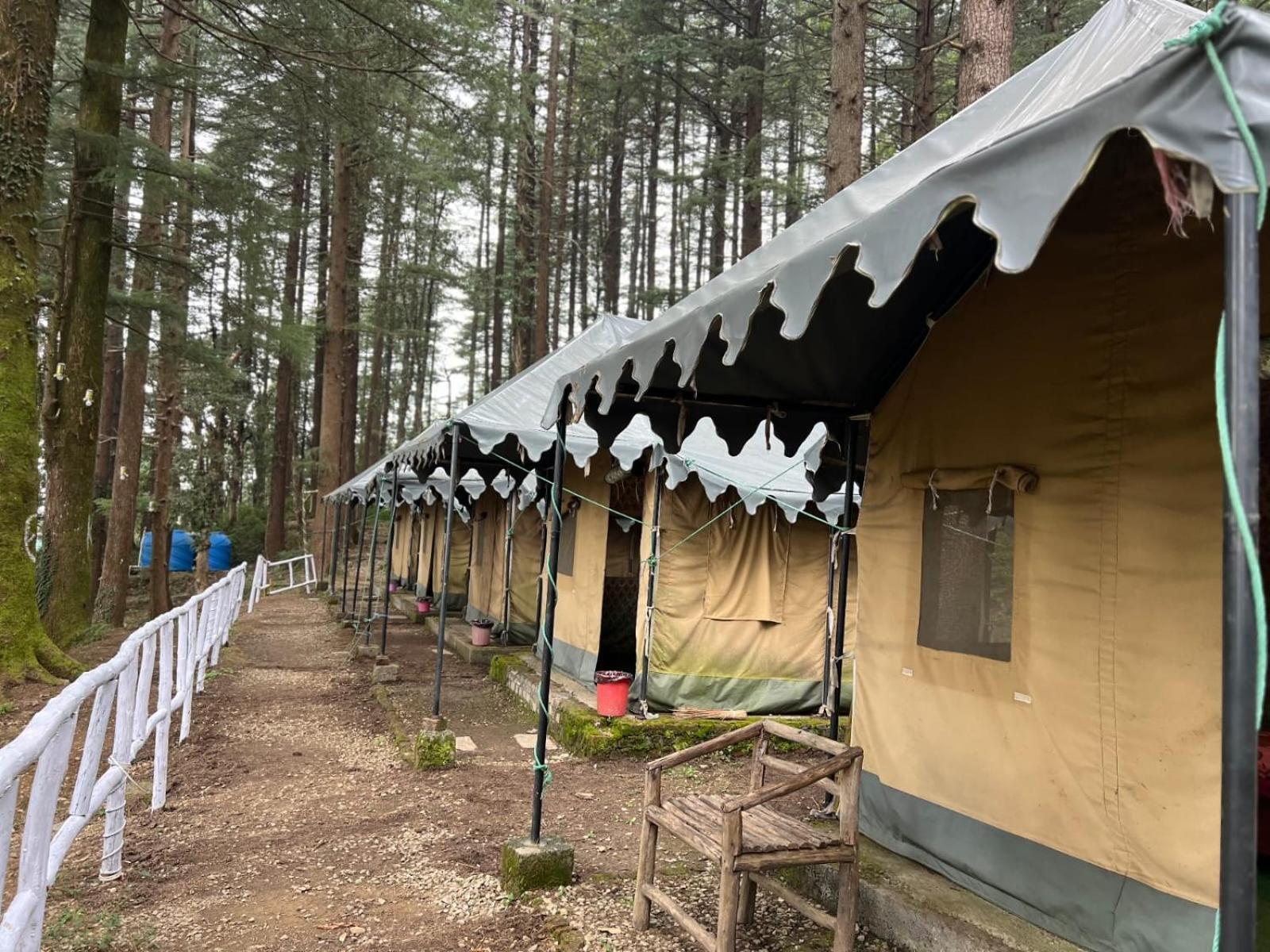 Himtrek Stays,Mcleodganj McLeod Ganj Buitenkant foto