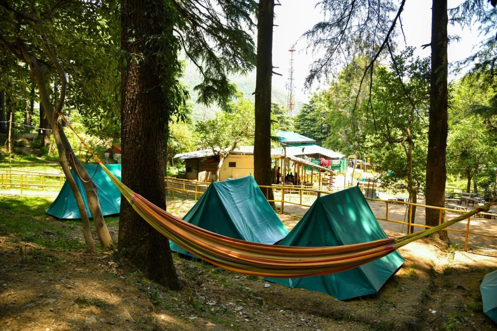Himtrek Stays,Mcleodganj McLeod Ganj Buitenkant foto